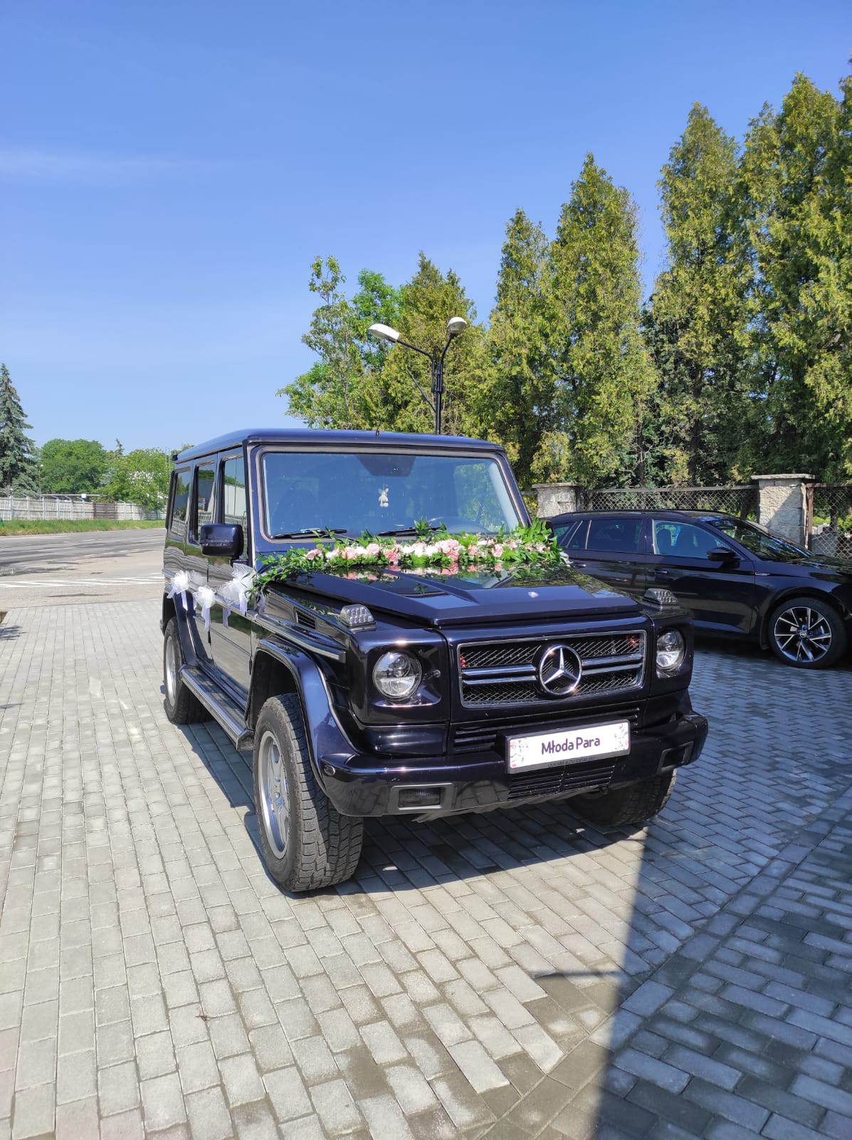 mercedes-fb